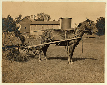 image of child_harvest