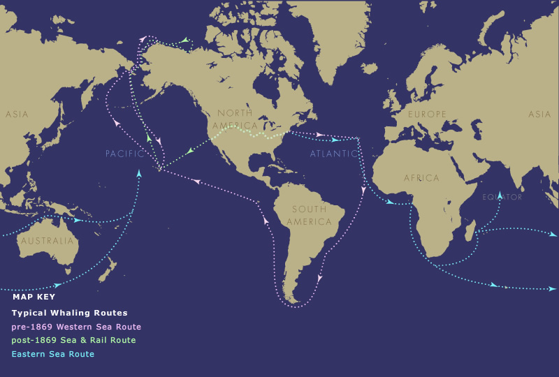 map of typical whaling routes