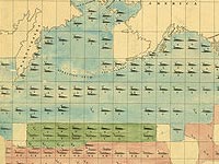 1851 whale chart detail