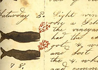 detail of logbook